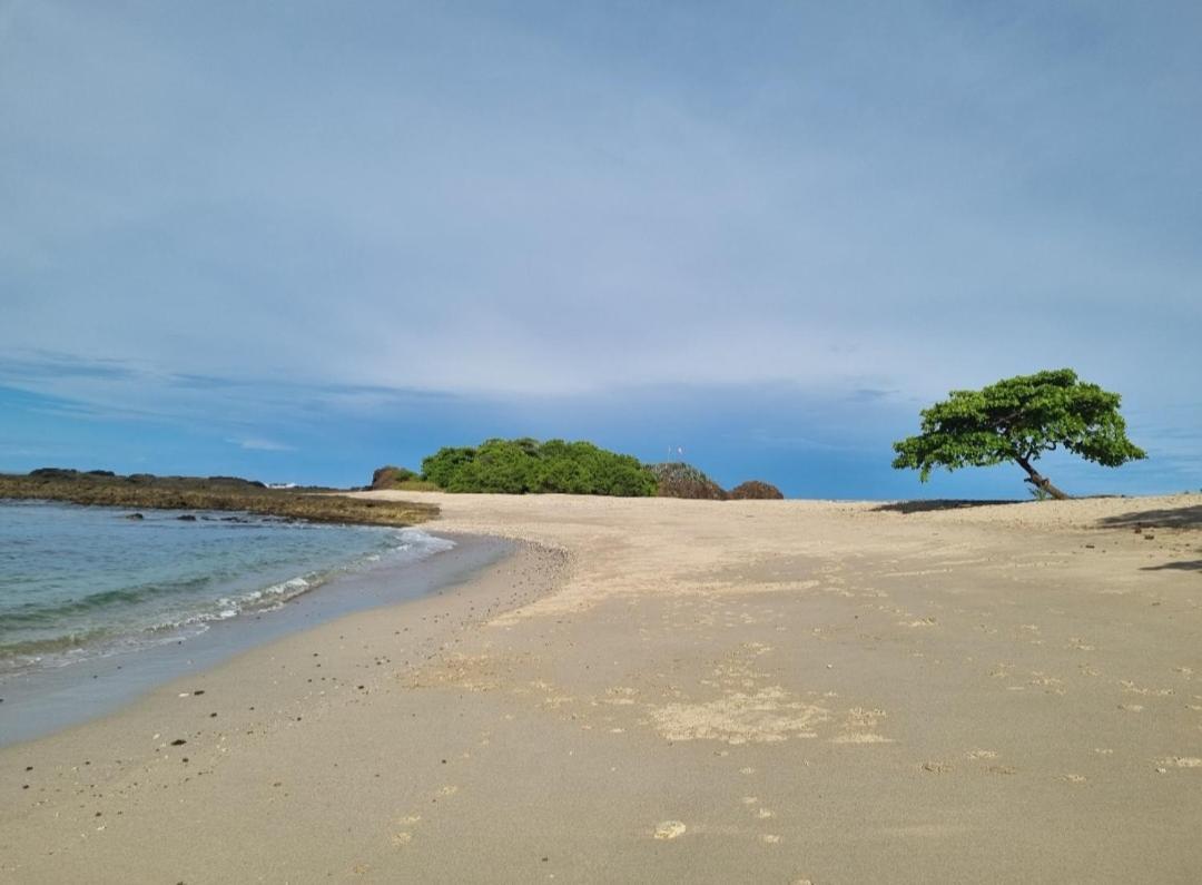 Casa De Playa Paraiso Terrenal San Juanillo Kültér fotó