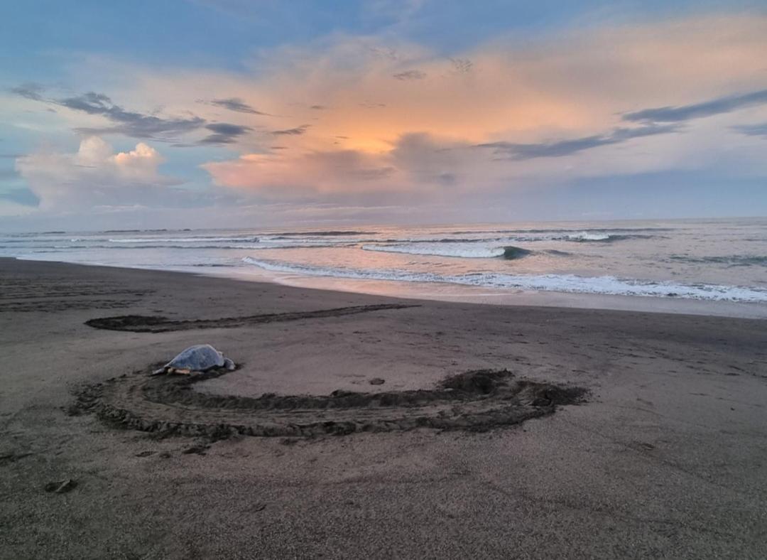 Casa De Playa Paraiso Terrenal San Juanillo Kültér fotó